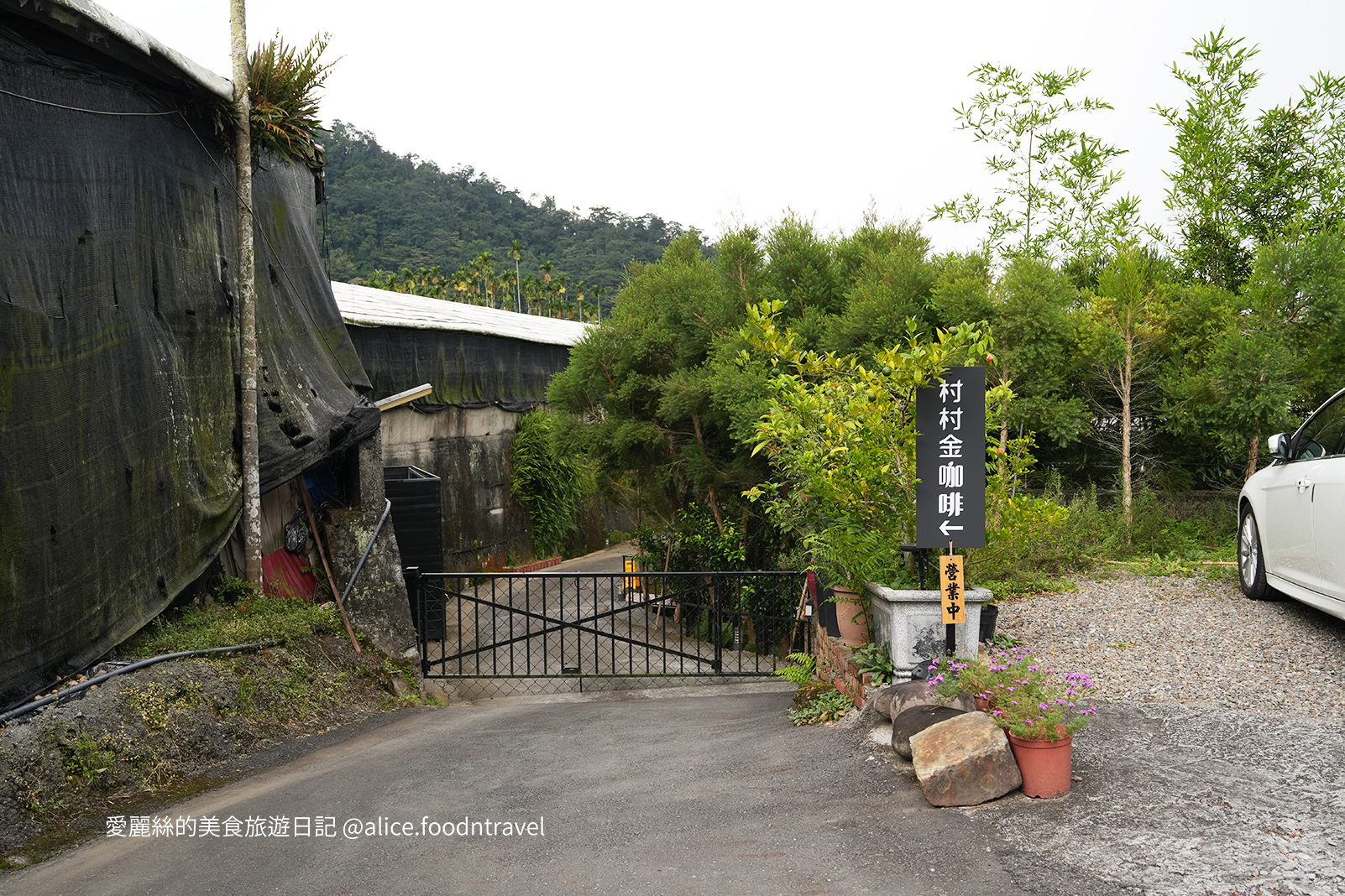 南投美食 日月潭咖啡 日月潭懶人露營 南投懶人露營 南投無菜單料理 南投隱藏景點 日月潭必吃 日月潭無菜單料理 南投咖啡 日月潭甜點 南投甜點 魚池咖啡 魚池露營 魚池美食 日月潭隱藏美食 日月潭美食 日月潭度假 日月潭秘境