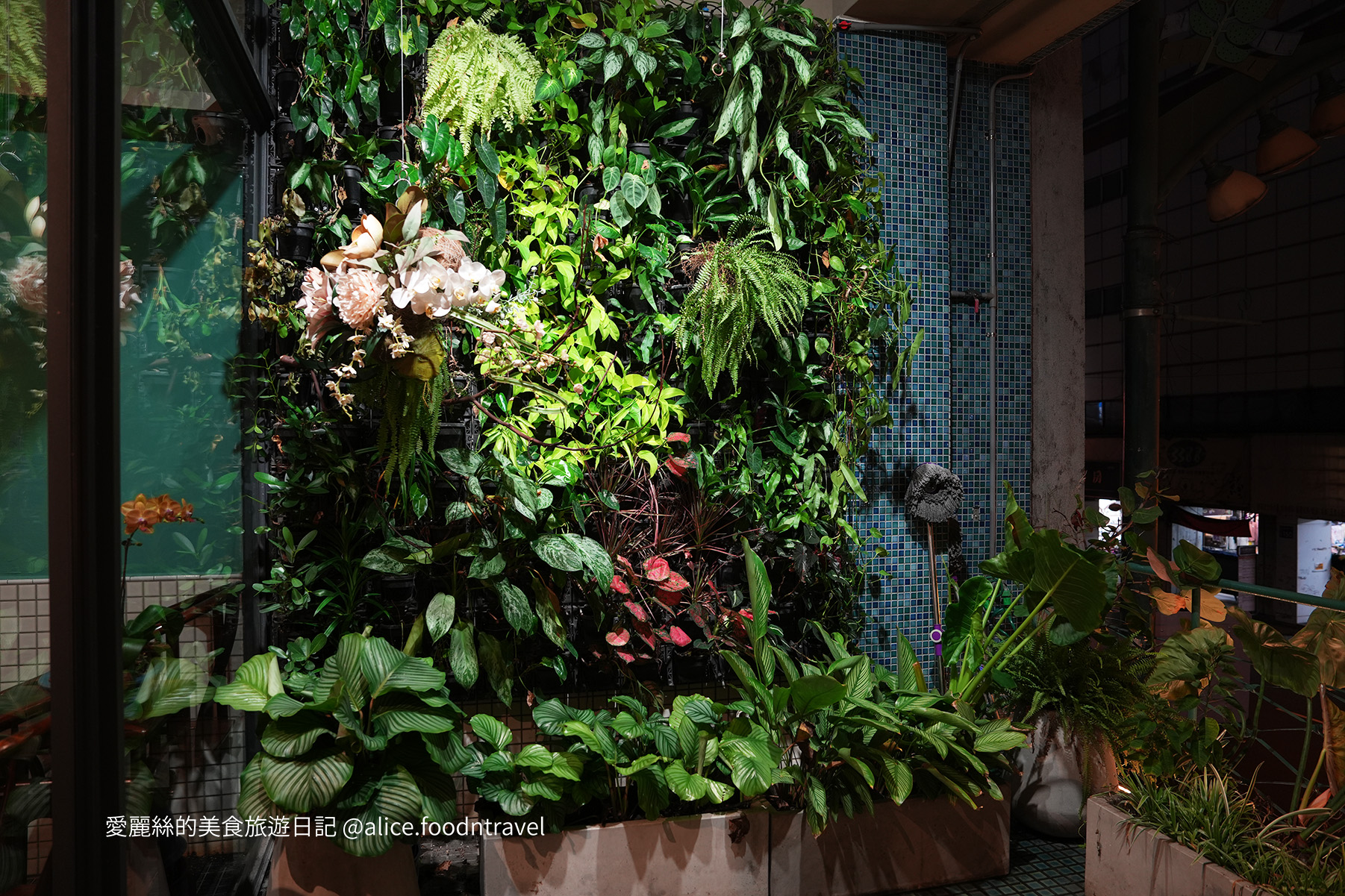 台中必比登 台中米其林 台中人氣餐廳 台中必吃 台中合菜推薦 台中聚餐推薦 台中老牌台菜 台中台菜 台中江浙菜 老牌台菜 老牌江浙菜 台菜推薦 必吃台菜 台中中區美食 台中中區必吃 台中觀光 台中老店