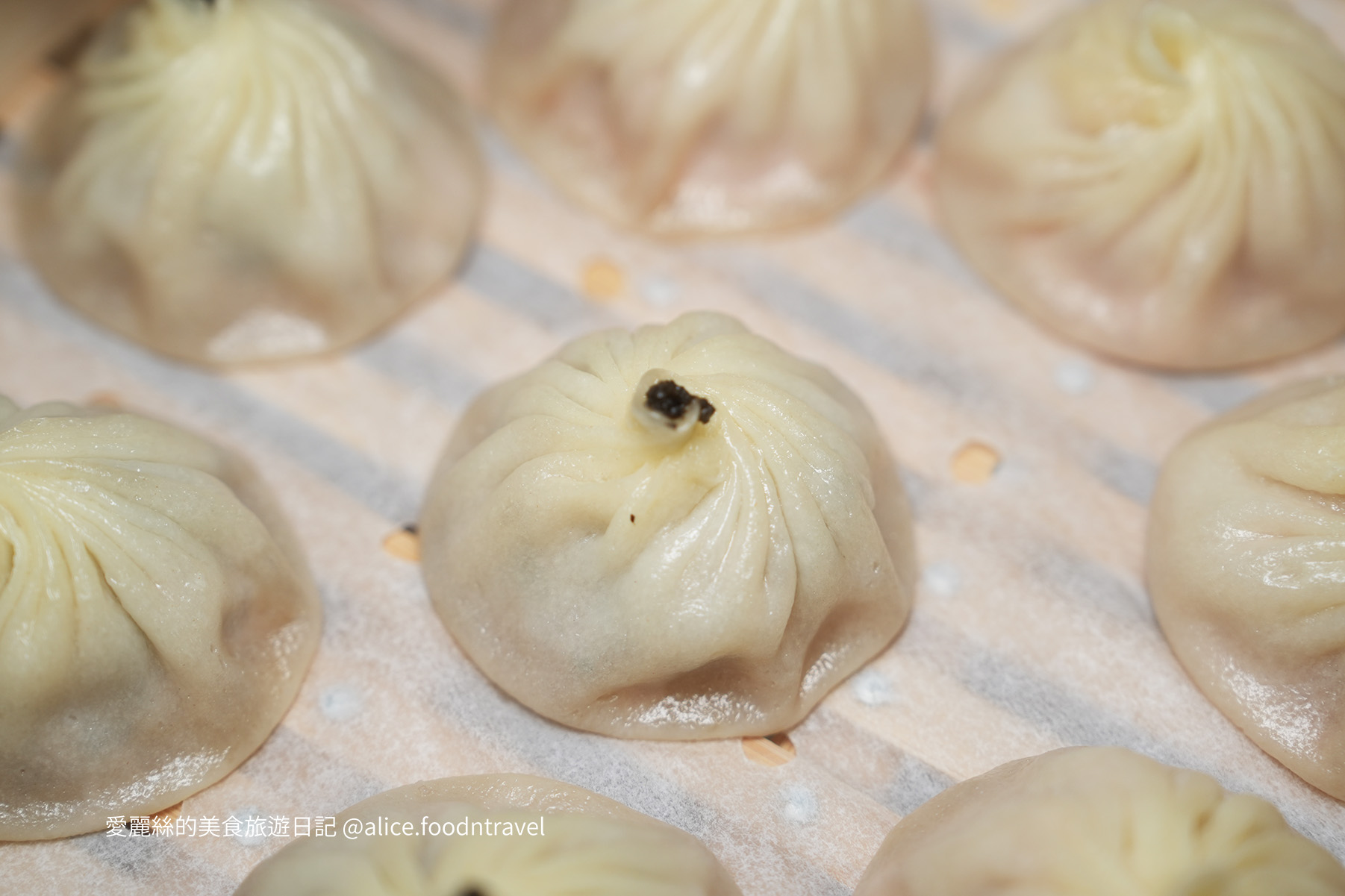 台中必比登 台中米其林 台中人氣餐廳 台中必吃 台中合菜推薦 台中聚餐推薦 台中老牌台菜 台中台菜 台中江浙菜 老牌台菜 老牌江浙菜 台菜推薦 必吃台菜 台中中區美食 台中中區必吃 台中觀光 台中老店