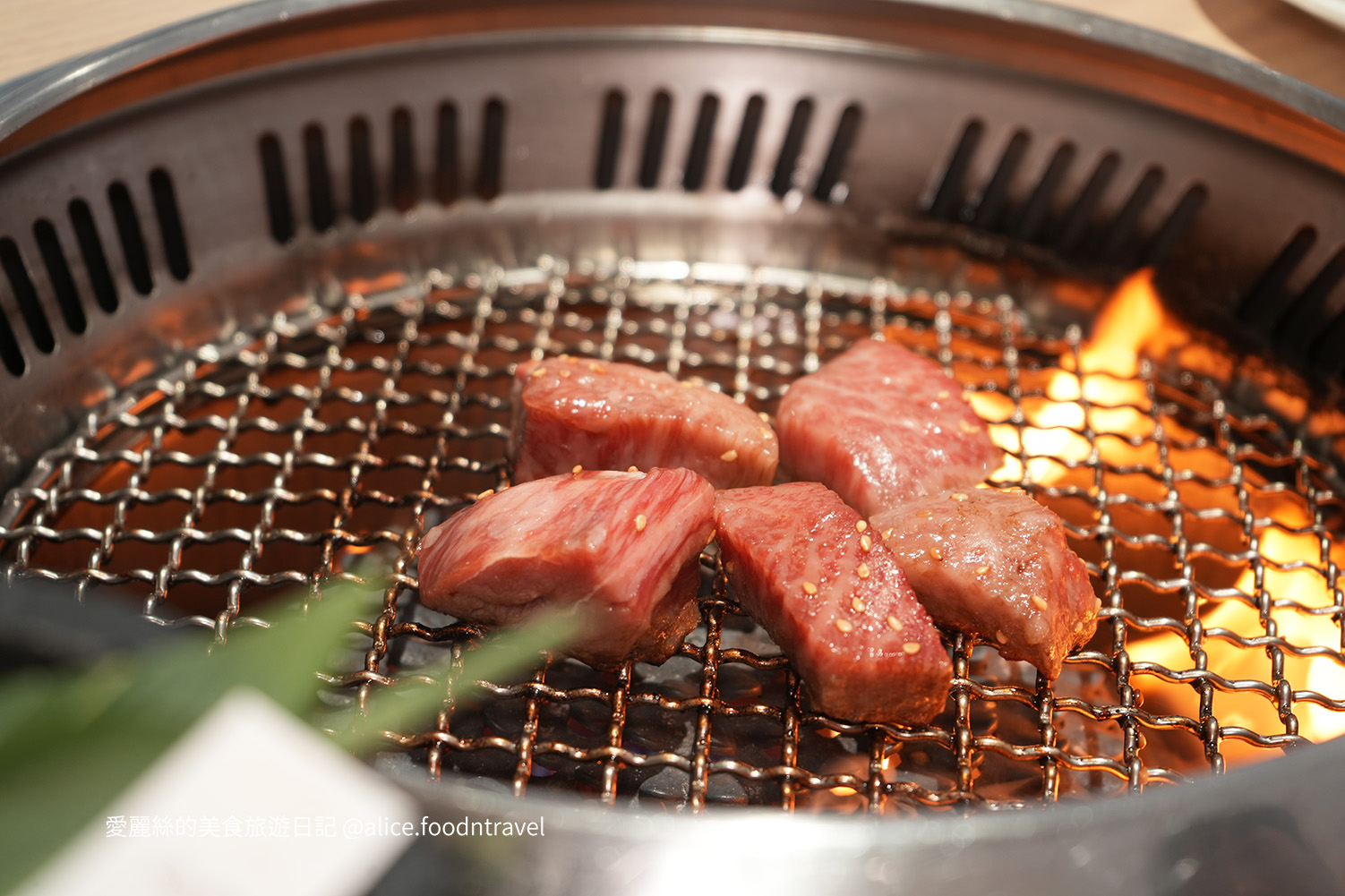 台中沙鹿美食台中海線美食沙鹿燒肉台中燒肉日式燒肉推薦台中美食推薦台中必吃網美餐廳台中慶生餐廳台中約會餐廳TT燒肉Tora燒肉日本A5和牛