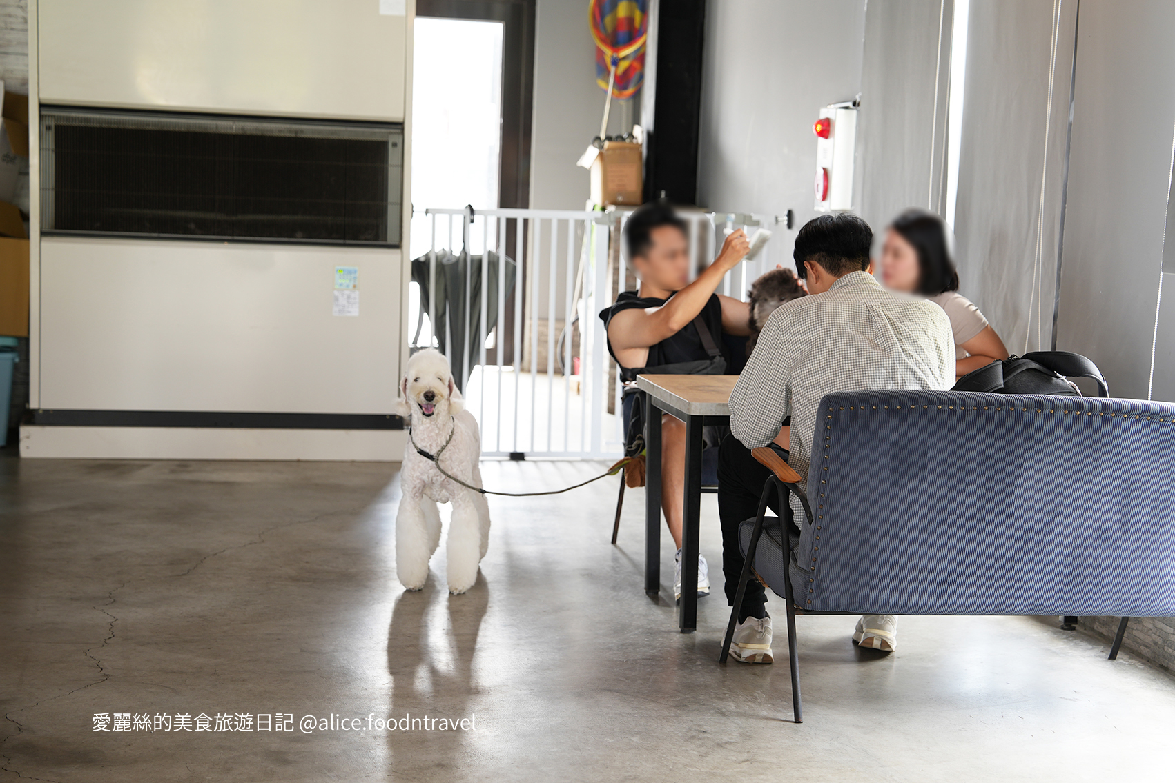 台中寵物 台中親子 台中寵物餐廳 台中寵物友善 台中親子餐廳 台中寵物咖啡 台中景點 台中北屯美食 台中北屯寵物 台中北屯親子 台中熱炒 台中北屯熱炒 台中北屯必吃 台中熱炒推薦 台中狗狗餐廳 台中毛小孩  