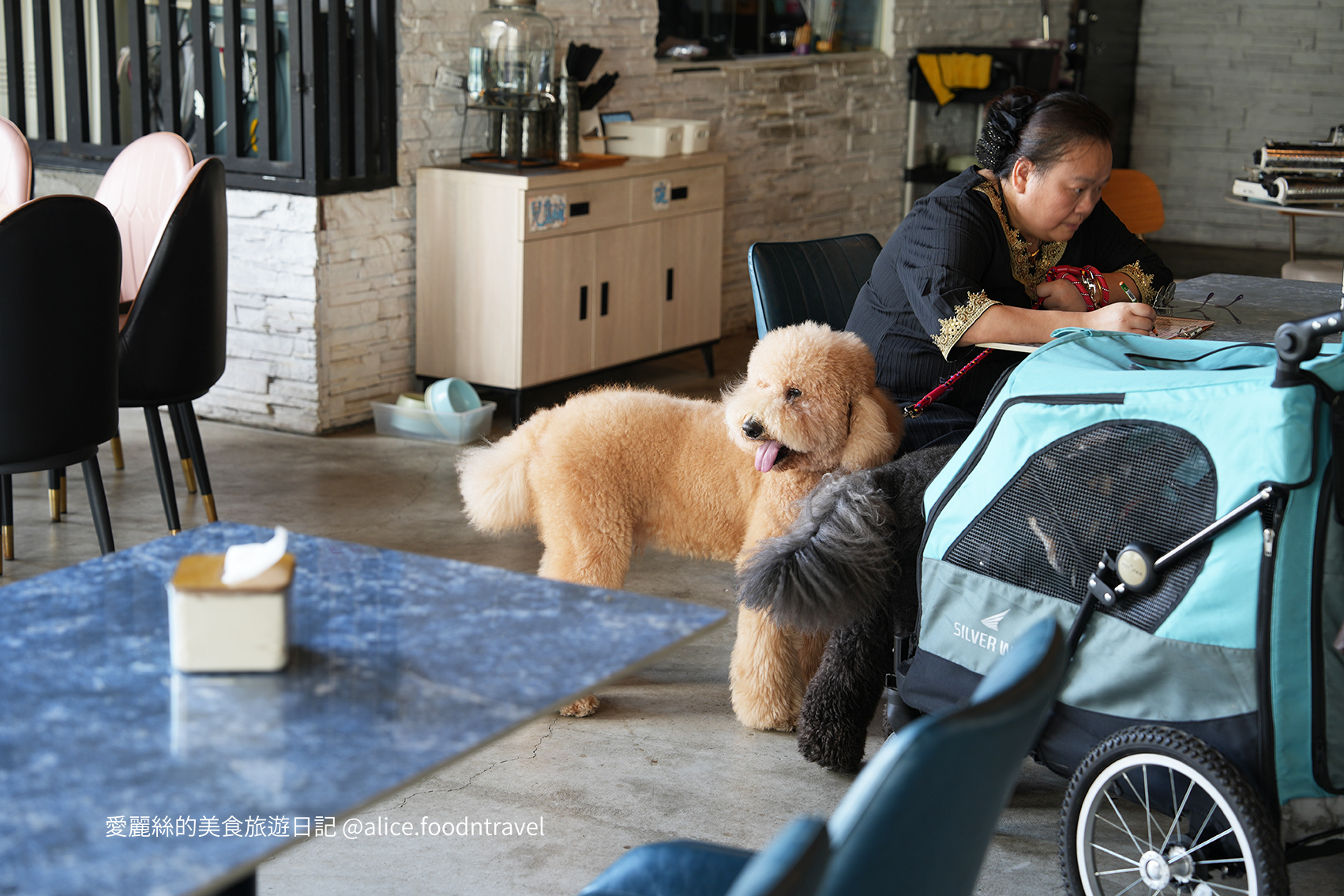 台中寵物 台中親子 台中寵物餐廳 台中寵物友善 台中親子餐廳 台中寵物咖啡 台中景點 台中北屯美食 台中北屯寵物 台中北屯親子 台中熱炒 台中北屯熱炒 台中北屯必吃 台中熱炒推薦 台中狗狗餐廳 台中毛小孩  