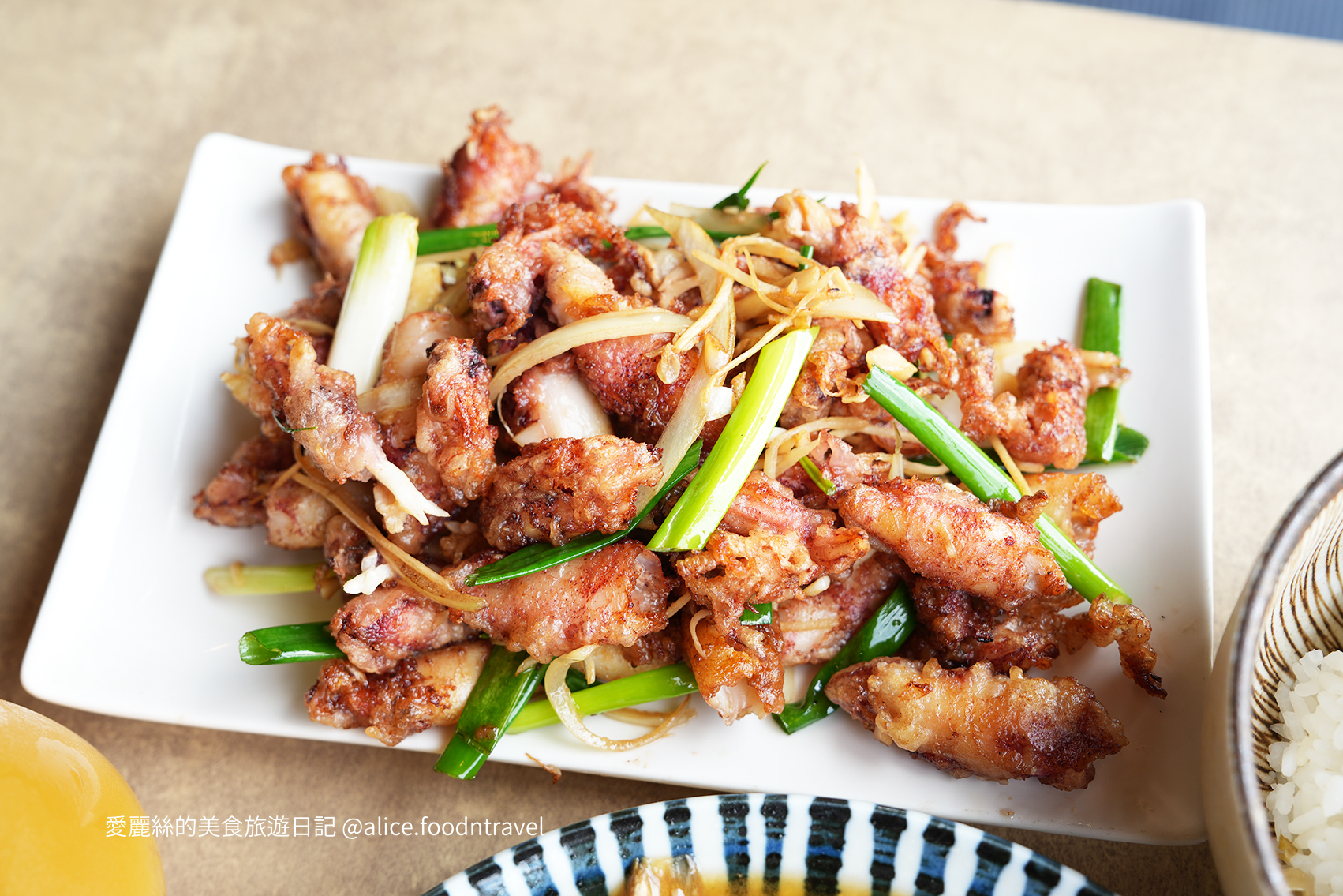 台中寵物 台中親子 台中寵物餐廳 台中寵物友善 台中親子餐廳 台中寵物咖啡 台中景點 台中北屯美食 台中北屯寵物 台中北屯親子 台中熱炒 台中北屯熱炒 台中北屯必吃 台中熱炒推薦 台中狗狗餐廳 台中毛小孩  