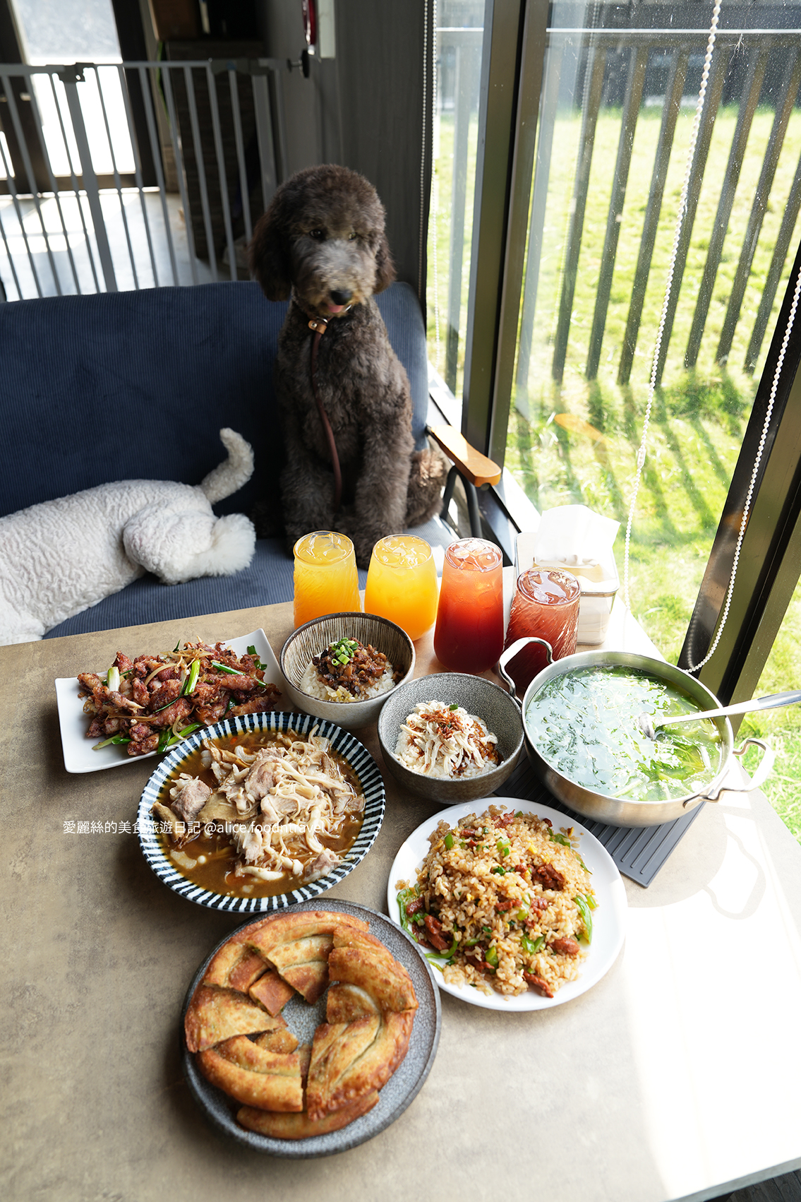 台中寵物 台中親子 台中寵物餐廳 台中寵物友善 台中親子餐廳 台中寵物咖啡 台中景點 台中北屯美食 台中北屯寵物 台中北屯親子 台中熱炒 台中北屯熱炒 台中北屯必吃 台中熱炒推薦 台中狗狗餐廳 台中毛小孩  