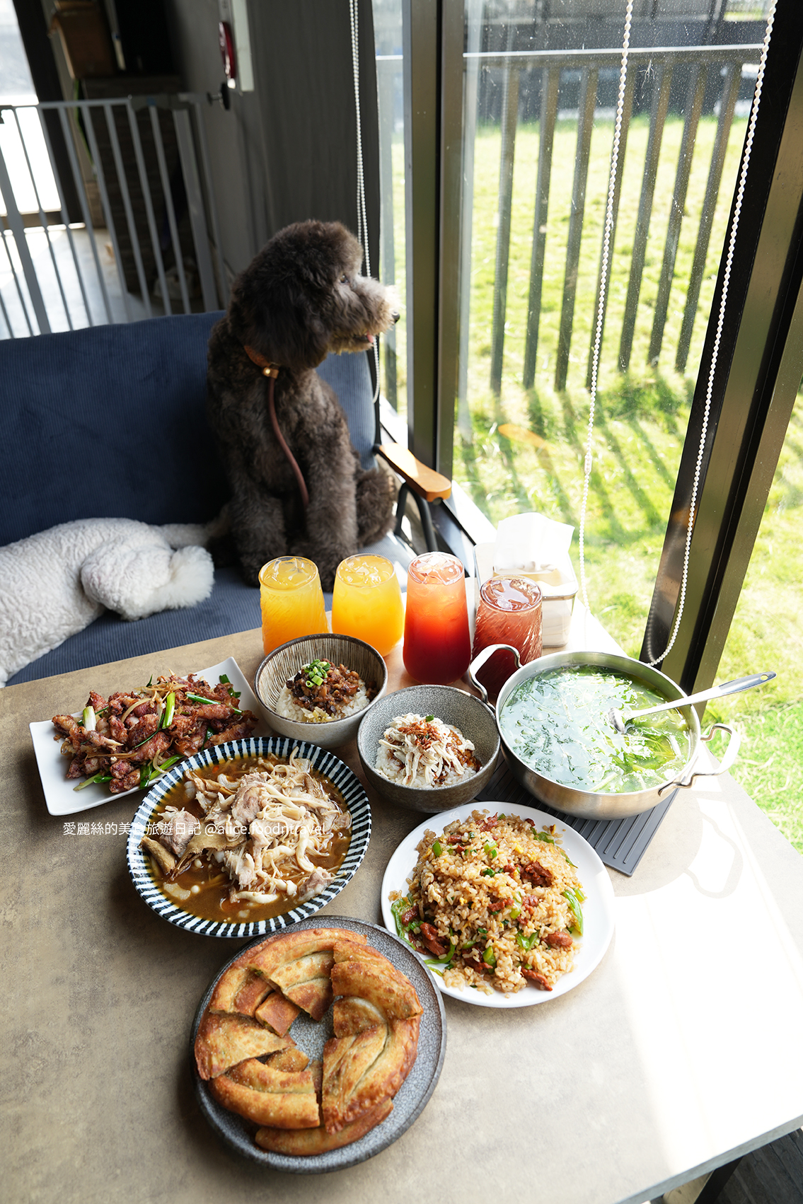 台中寵物 台中親子 台中寵物餐廳 台中寵物友善 台中親子餐廳 台中寵物咖啡 台中景點 台中北屯美食 台中北屯寵物 台中北屯親子 台中熱炒 台中北屯熱炒 台中北屯必吃 台中熱炒推薦 台中狗狗餐廳 台中毛小孩  