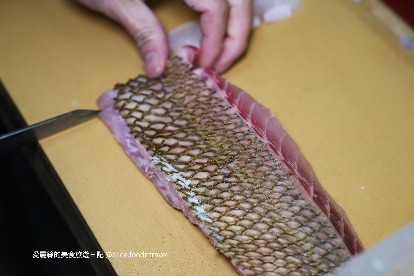 台中北區美食台中生魚片台中握壽司台中日料台中日本料理台中必吃台中板前台中浪金生魚片台中熟成魚
