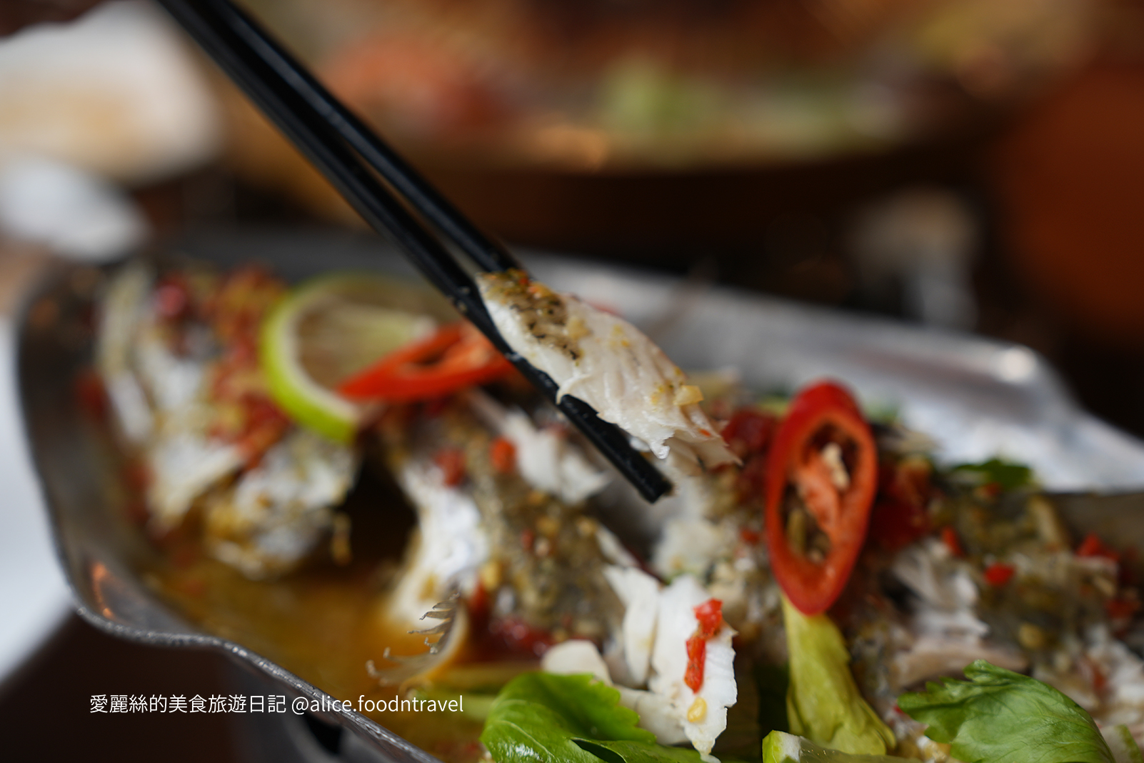 桃園美食桃園泰式料理桃園泰國料理
桃園泰國菜桃園ATT桃園燒烤桃園炒河粉桃園必吃桃園景點桃園車站美食巫泰式燒烤