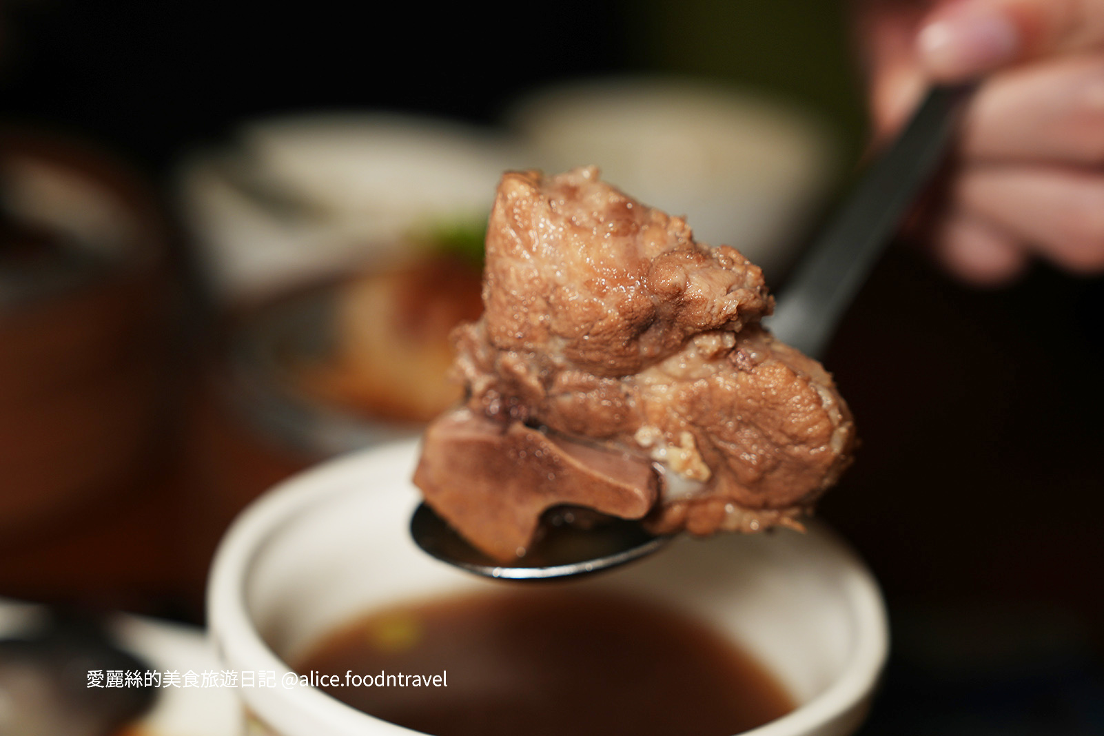 台中南屯美食台中平價美食台中北區美食台中新馬料理台中星馬料理台中必吃台中小吃推薦馬來西亞菜新加坡菜台中海南雞飯台中肉骨茶台中撈麵新馬小廚