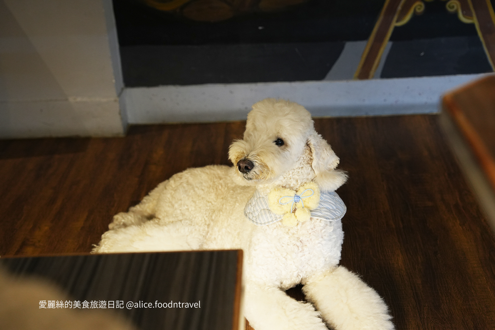 容燒居酒屋 容燒居酒屋南屯文心總店 台中寵物友善居酒屋 台中寵物友善餐廳 南屯寵物友善餐廳 台中寵物友善美食 台中南屯美食 台中南屯居酒屋 台中居酒屋推薦 台中串燒推薦 台中日式居酒屋 台中宵夜推薦 台中可帶寵物餐廳 台中寵物可入內餐廳 寵物友善居酒屋 寵物可吃串燒 台中狗狗友善餐廳 台中毛孩友善餐廳 台中聚餐推薦 台中南屯宵夜 台中居酒屋 台中餐廳 台中串燒 台中日本料理