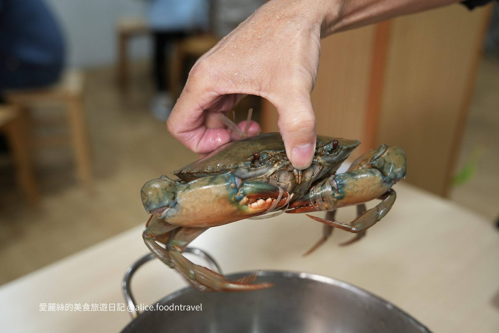 台中南區美食 台中薑母鴨推薦 洪師傅薑母鴨 紅蟳薑母鴨 台中泰國蝦 海鮮薑母鴨 台中薑母鴨必吃 台中南區薑母鴨 台中火鍋推薦 台中南區火鍋 台中泰國蝦 台中南區必吃 台中薑母鴨 台中紅蟳薑母鴨 台中海鮮火鍋 台中冬天鍋物 台中冬天進補 台中圍爐 台中溫補 台中冬令進補