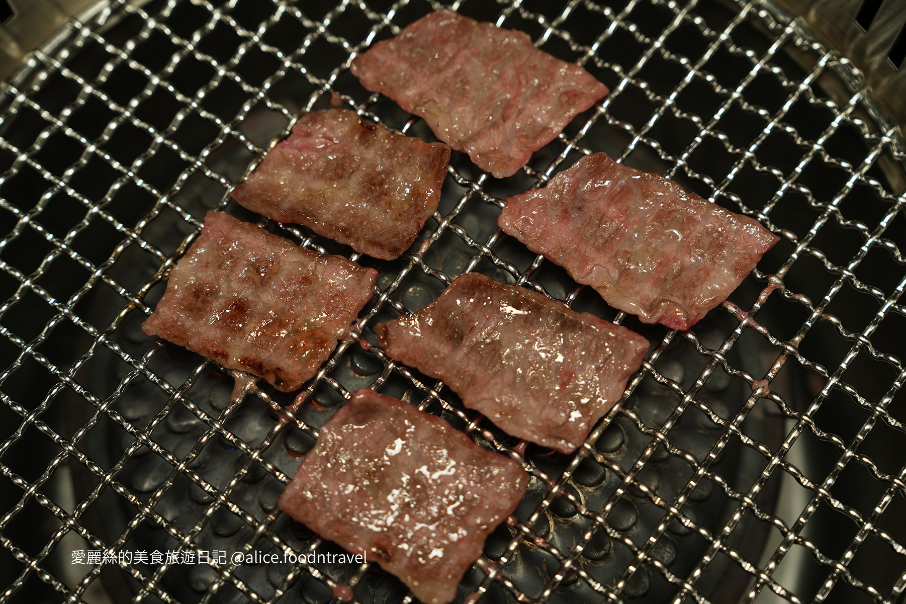 台中燒肉台中寵物友善燒肉台中寵物友善餐廳台中寵物餐廳台中狗餐廳台中燒肉推薦台中南屯美食台中南屯燒肉台中南屯餐廳南屯寵物餐廳容燒居酒屋温和苑溫和苑
