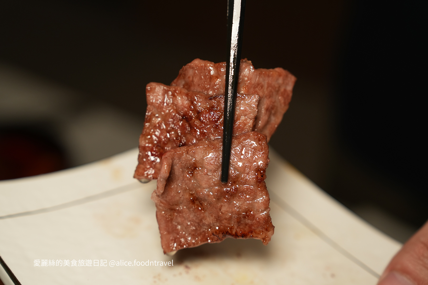 台中燒肉台中寵物友善燒肉台中寵物友善餐廳台中寵物餐廳台中狗餐廳台中燒肉推薦台中南屯美食台中南屯燒肉台中南屯餐廳南屯寵物餐廳容燒居酒屋温和苑溫和苑