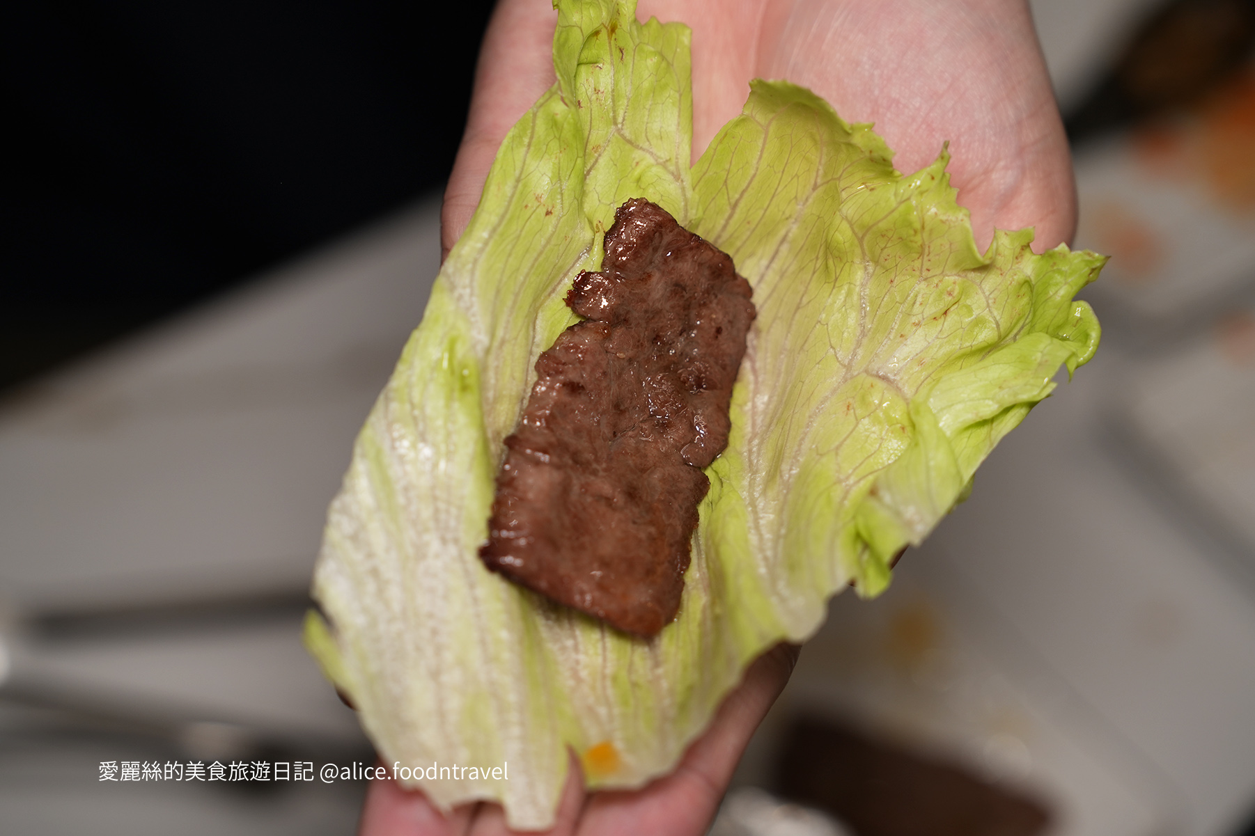台中燒肉台中寵物友善燒肉台中寵物友善餐廳台中寵物餐廳台中狗餐廳台中燒肉推薦台中南屯美食台中南屯燒肉台中南屯餐廳南屯寵物餐廳容燒居酒屋温和苑溫和苑
