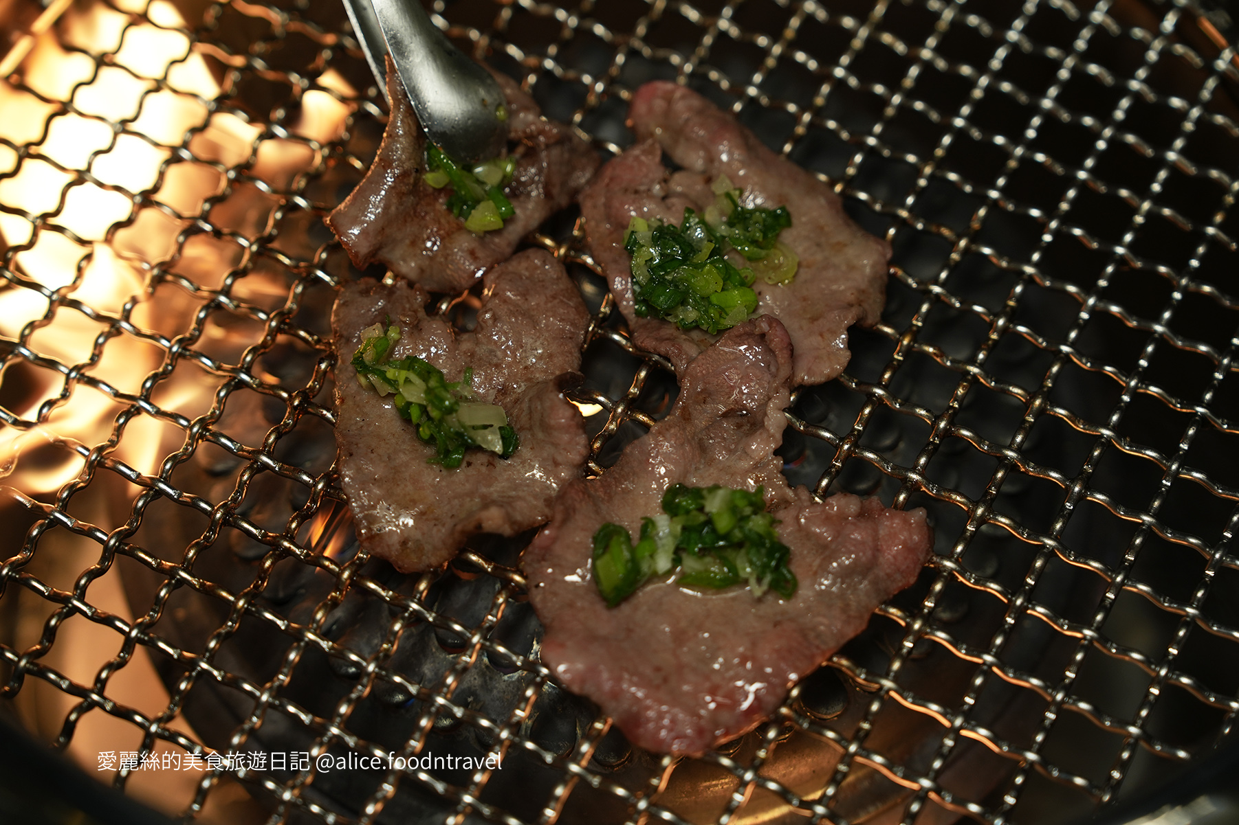 台中燒肉台中寵物友善燒肉台中寵物友善餐廳台中寵物餐廳台中狗餐廳台中燒肉推薦台中南屯美食台中南屯燒肉台中南屯餐廳南屯寵物餐廳容燒居酒屋温和苑溫和苑