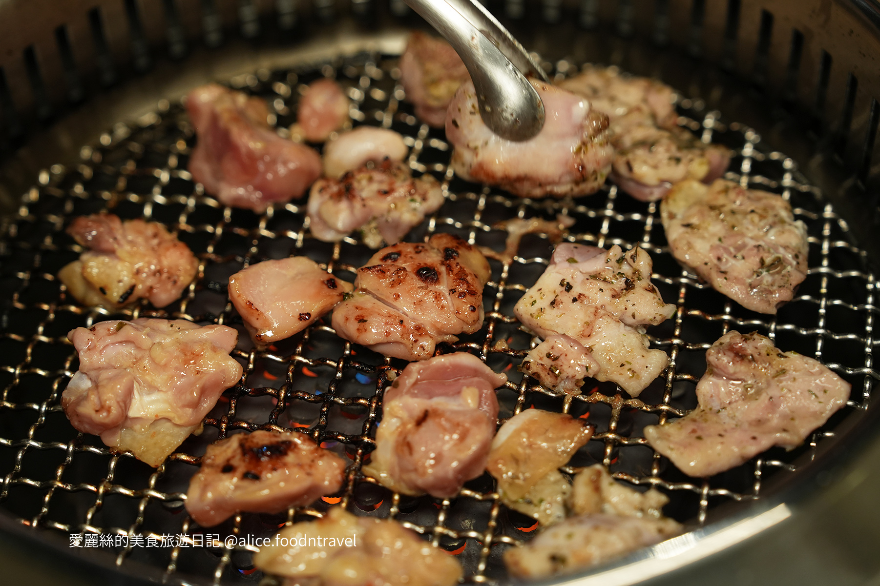 台中燒肉台中寵物友善燒肉台中寵物友善餐廳台中寵物餐廳台中狗餐廳台中燒肉推薦台中南屯美食台中南屯燒肉台中南屯餐廳南屯寵物餐廳容燒居酒屋温和苑溫和苑