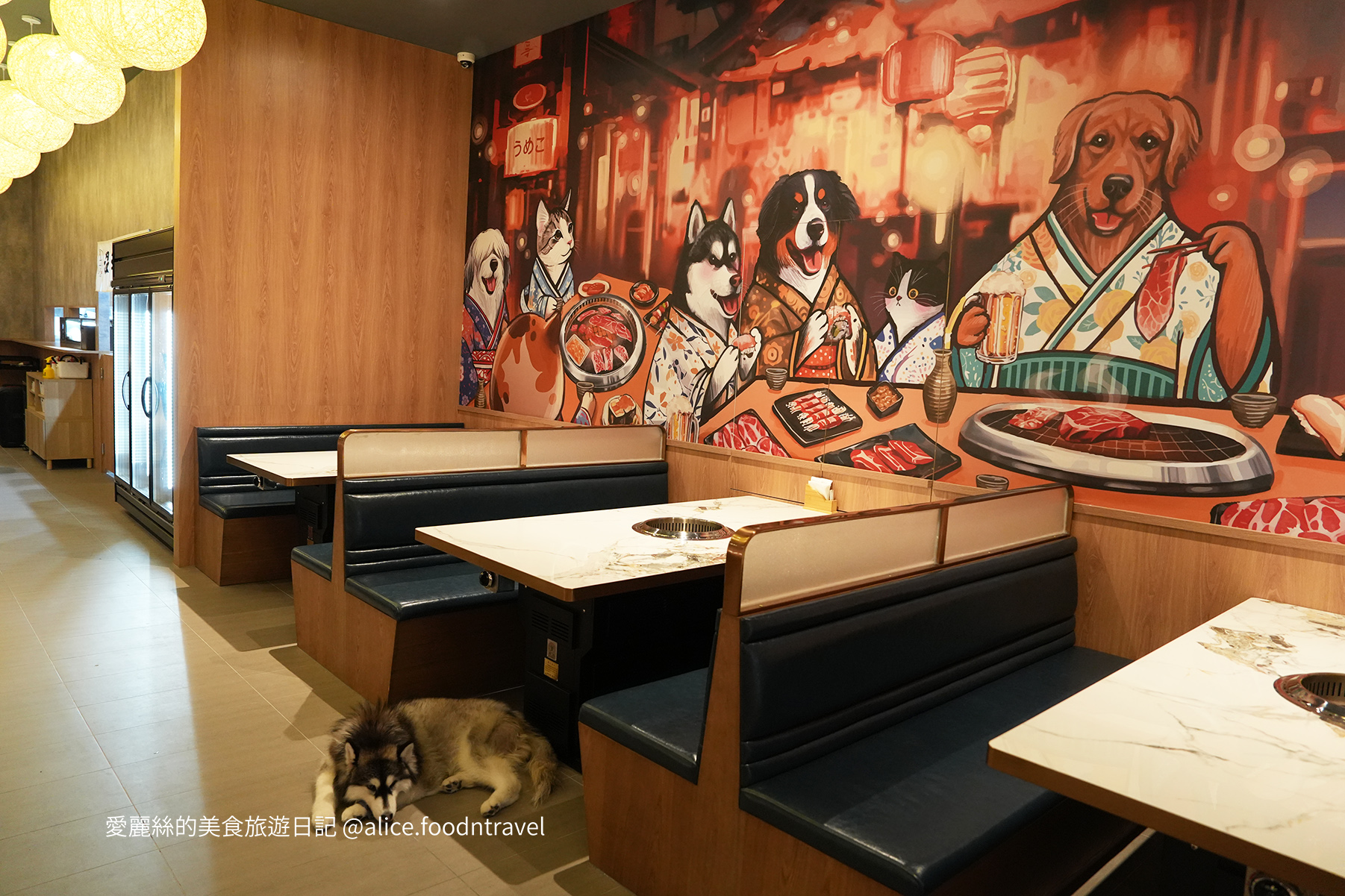 台中燒肉台中寵物友善燒肉台中寵物友善餐廳台中寵物餐廳台中狗餐廳台中燒肉推薦台中南屯美食台中南屯燒肉台中南屯餐廳南屯寵物餐廳容燒居酒屋温和苑溫和苑