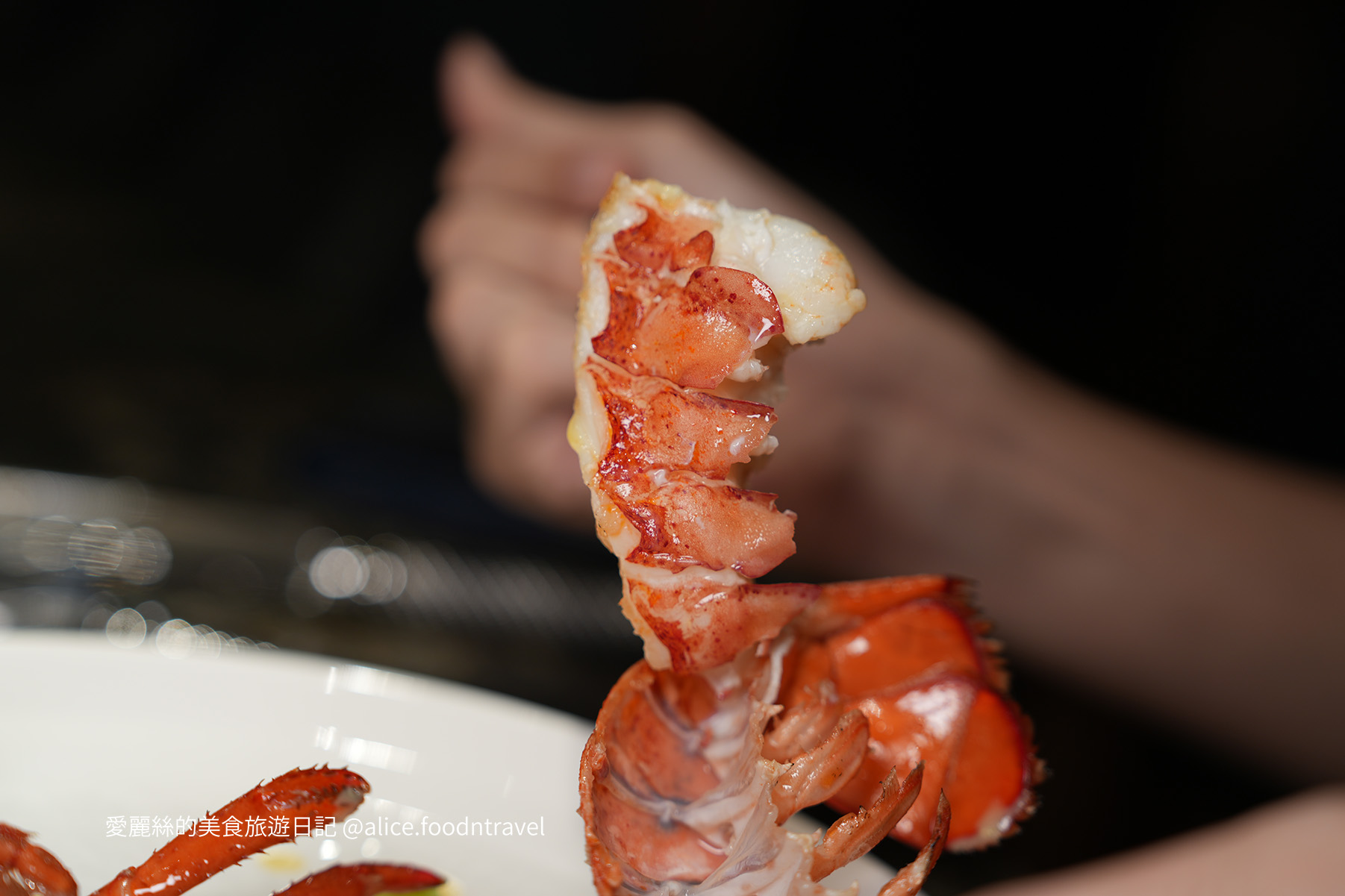 台中北屯鐵板燒 藍帶米淇鐵板燒 台中高級鐵板燒推薦 北屯美食推薦 台中鐵板燒套餐 台中龍蝦鐵板燒 台中和牛鐵板燒 台中約會餐廳 台中慶生餐廳推薦 台中高CP值鐵板燒 北屯聚餐餐廳 台中海鮮鐵板燒 台中松竹路美食 台中高檔餐廳推薦 台中套餐料理推薦 台中創意鐵板燒 台中商務聚餐餐廳 台中母親節餐廳推薦 台中包廂餐廳 台中精緻料理餐廳