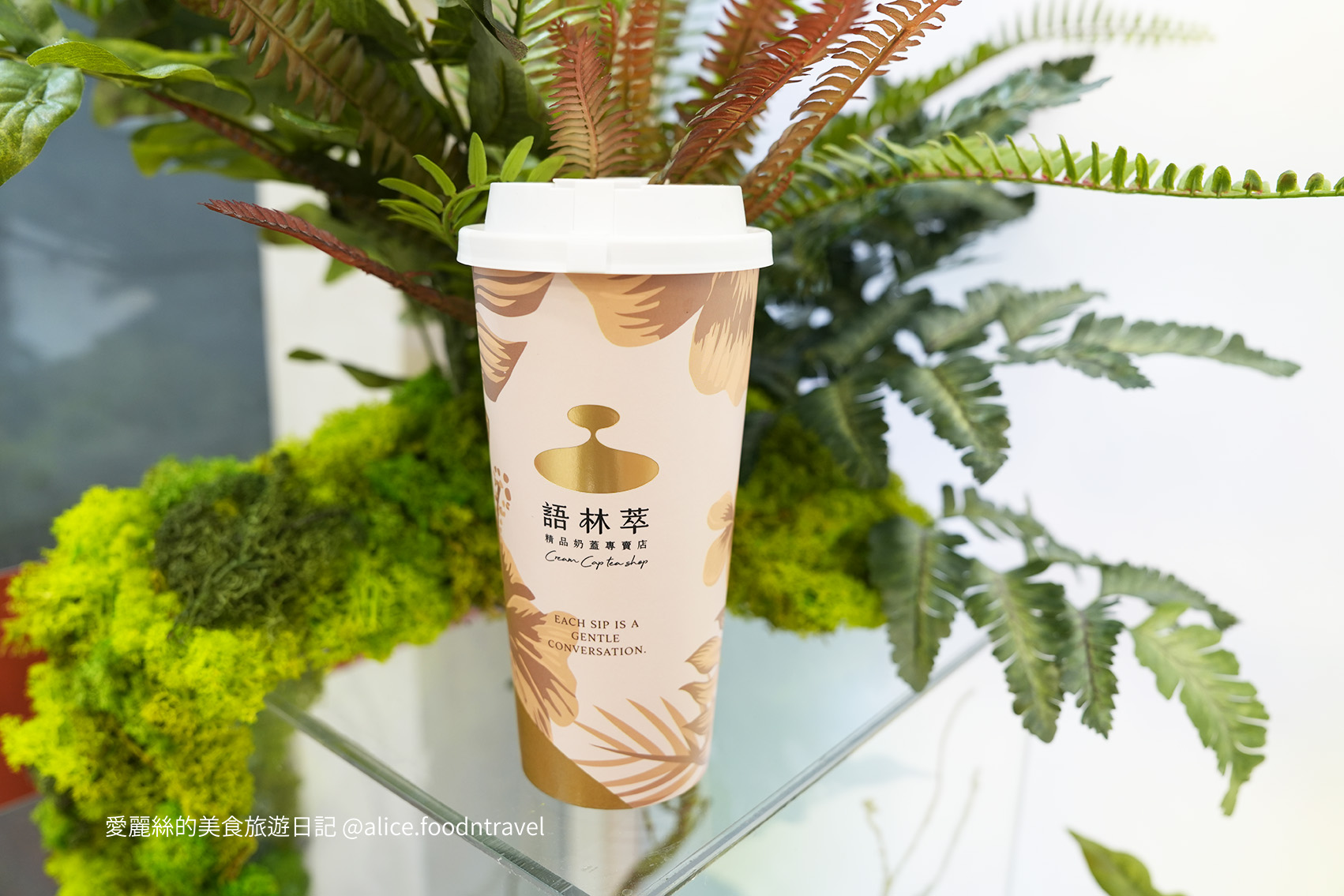 台中手搖 台中奶蓋 奶蓋茶 精品手搖 台中飲料推薦 台中手搖推薦 台中必喝 台中西區手搖 台中西區奶蓋 頂級茶 美村路飲料 美村路手搖 台中茶飲 網美飲料店 台中下午茶 美村路下午茶 西區下午茶   台中手搖杯 台中質感手搖