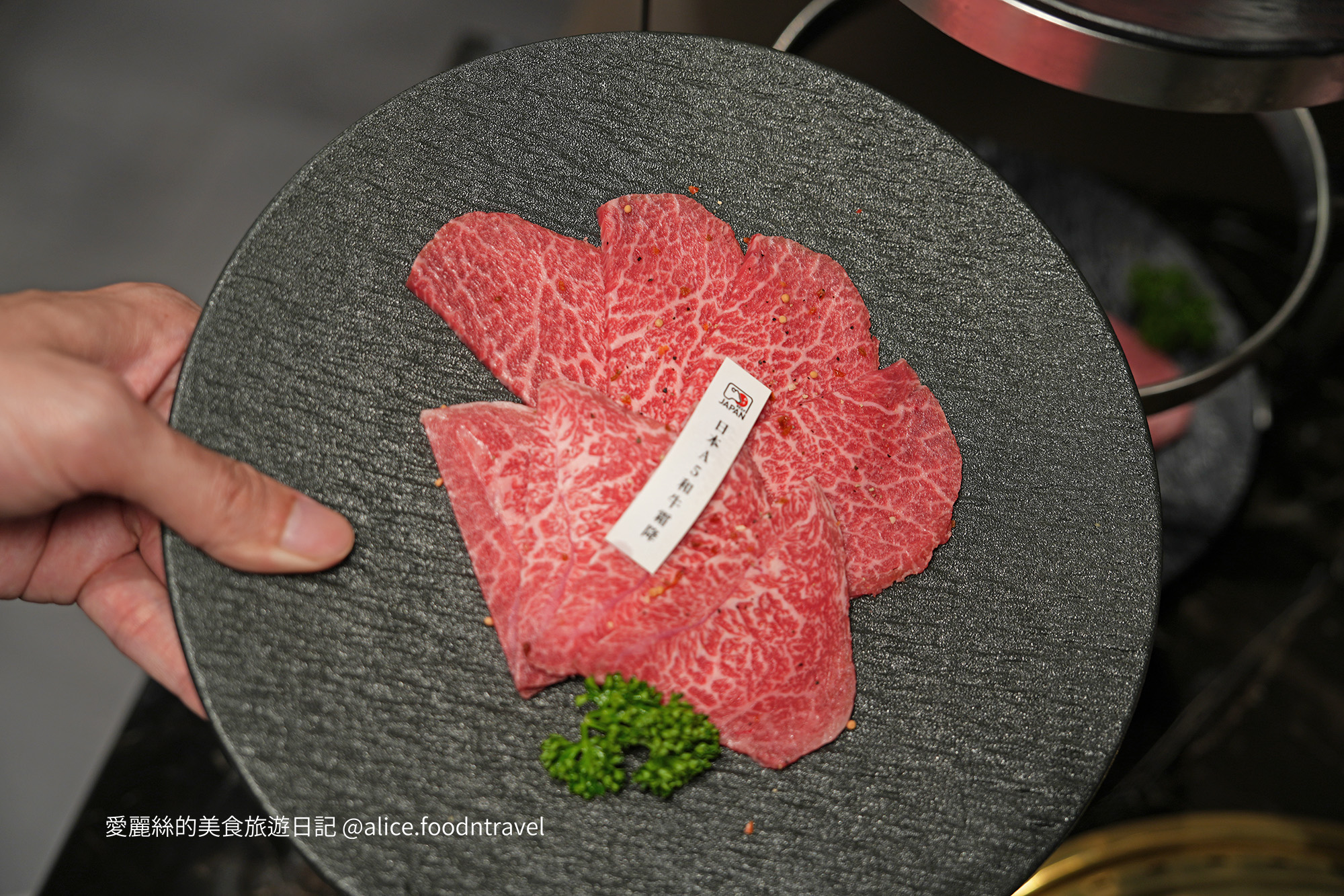 台中北屯美食 台中北屯燒肉 台中燒肉推薦 北屯燒肉推薦 台中日式燒肉 台中和牛燒肉 台中A5和牛 台中雙人燒肉套餐 台中高CP值燒肉 台中約會餐廳 台中聚餐餐廳 東山路美食 北屯聚餐推薦 彰化燒肉推薦 脂本燒肉 脂本燒肉 ZHIBEN YKNK 脂本燒肉北屯店 台中牛舌推薦 台中燒肉套餐 台中新開幕燒肉