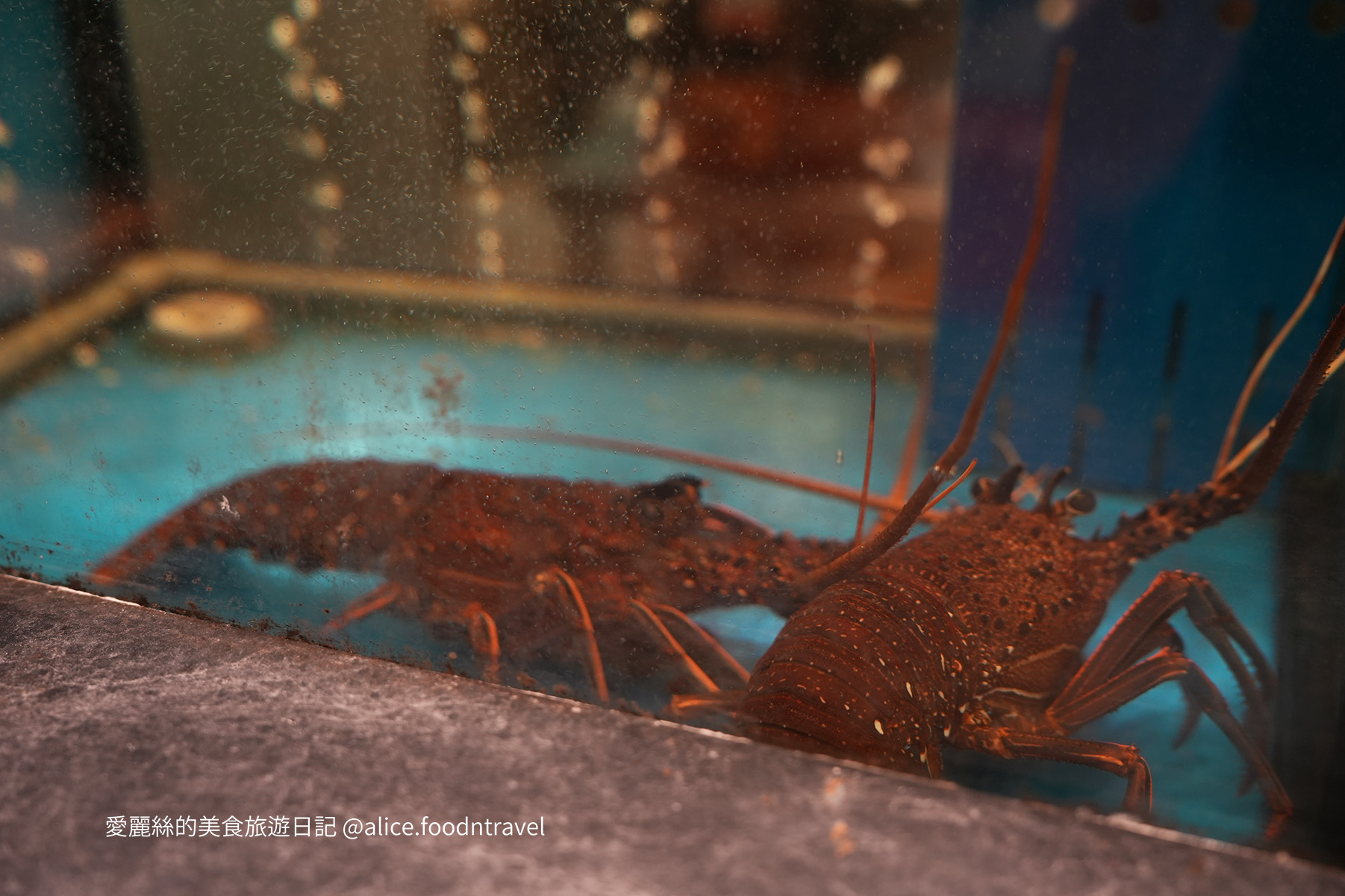 台中西屯美食 台中西屯居酒屋 台中居酒屋推薦 台中西屯日式 台中日料推薦 台中居酒屋必吃 西屯無菜單料理 台中壽司 台中串燒推薦 西屯串燒 台中小酌 台中西屯宵夜 