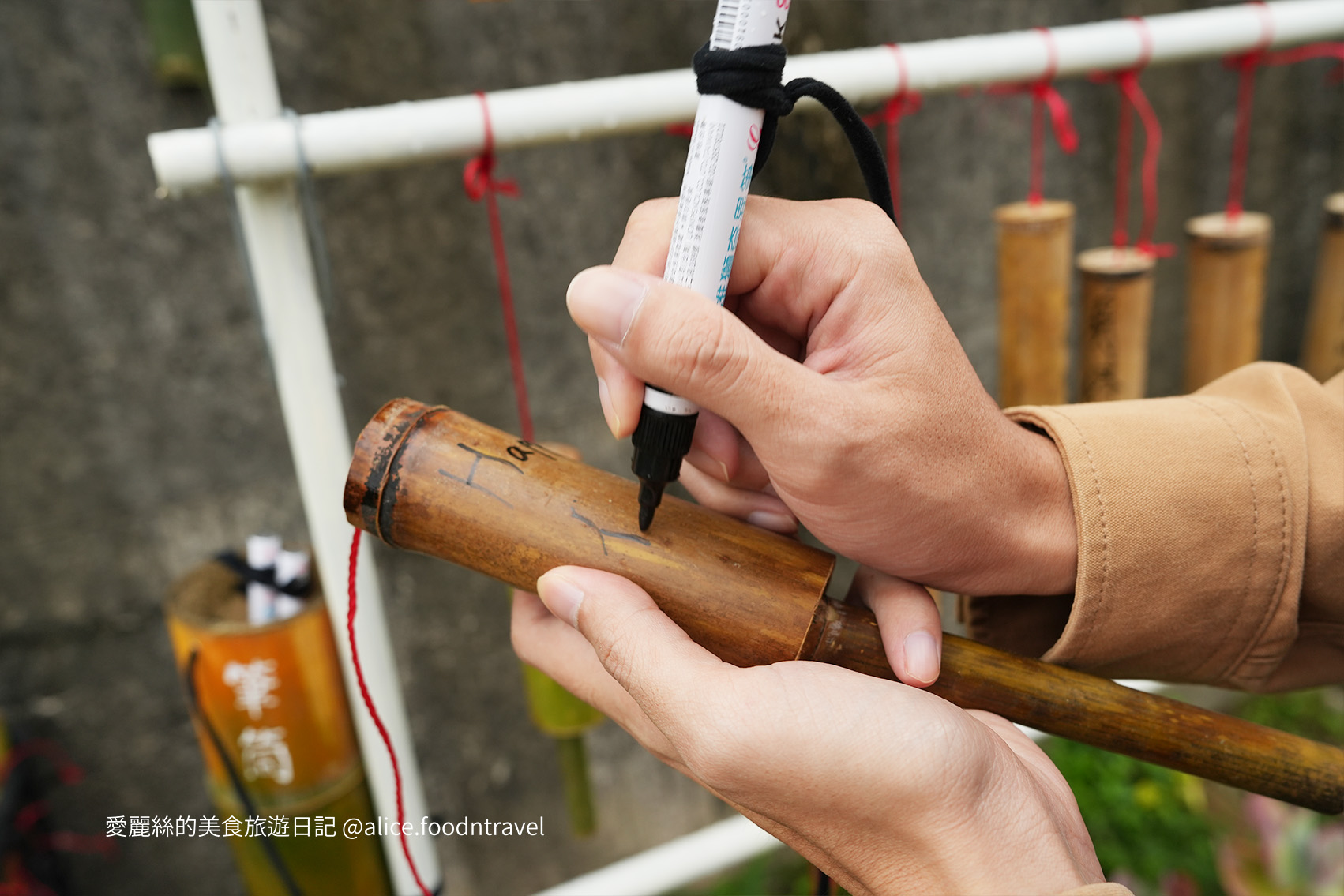 苗栗景點苗栗獅潭仙草花節2024苗栗獅潭仙草花苗栗獅潭仙草推薦苗栗必吃苗栗必玩苗栗親子旅遊親子景點苗栗三義苗栗勝興車站仙草花海桃園仙草花節