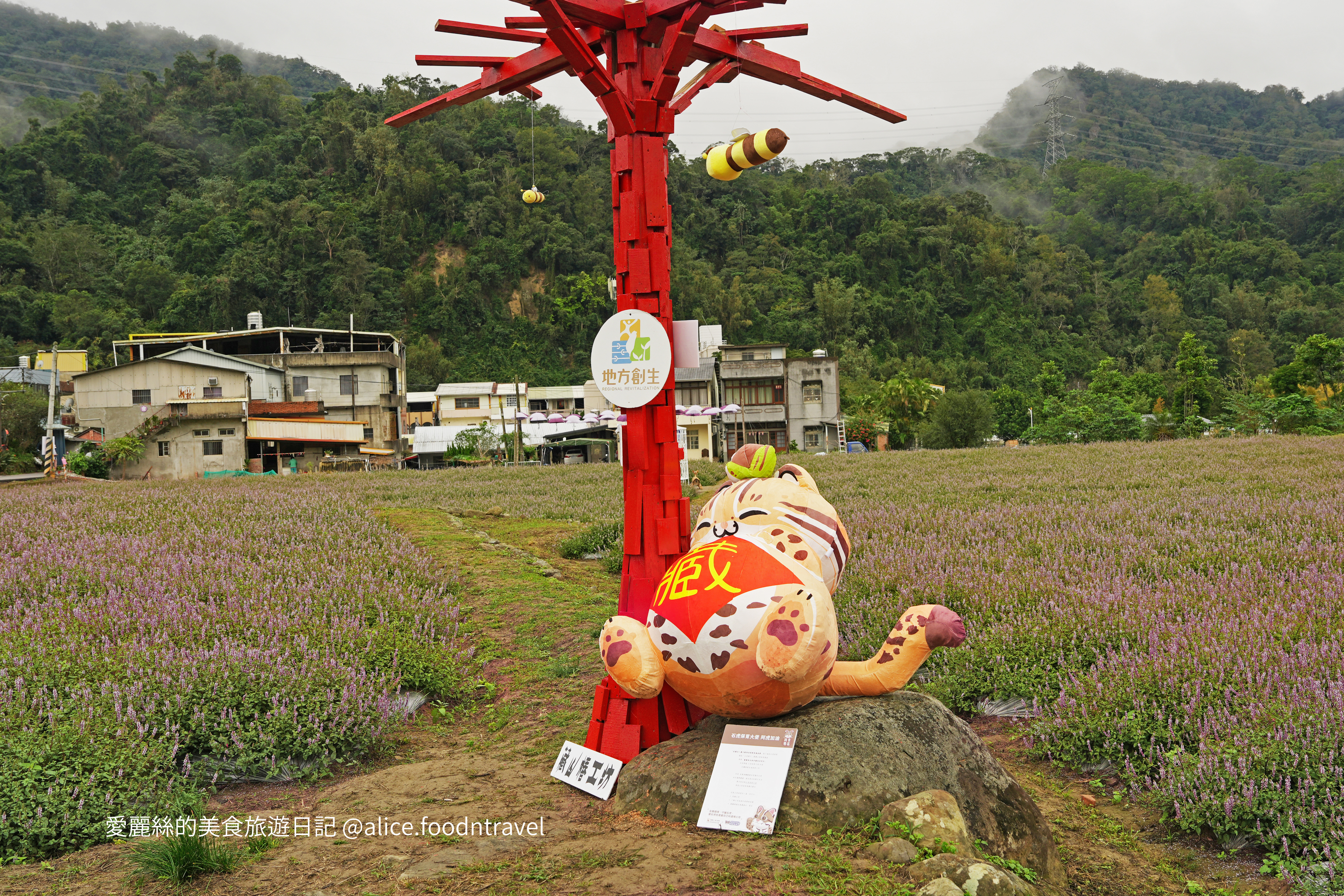 苗栗景點苗栗獅潭仙草花節2024苗栗獅潭仙草花苗栗獅潭仙草推薦苗栗必吃苗栗必玩苗栗親子旅遊親子景點苗栗三義苗栗勝興車站仙草花海桃園仙草花節