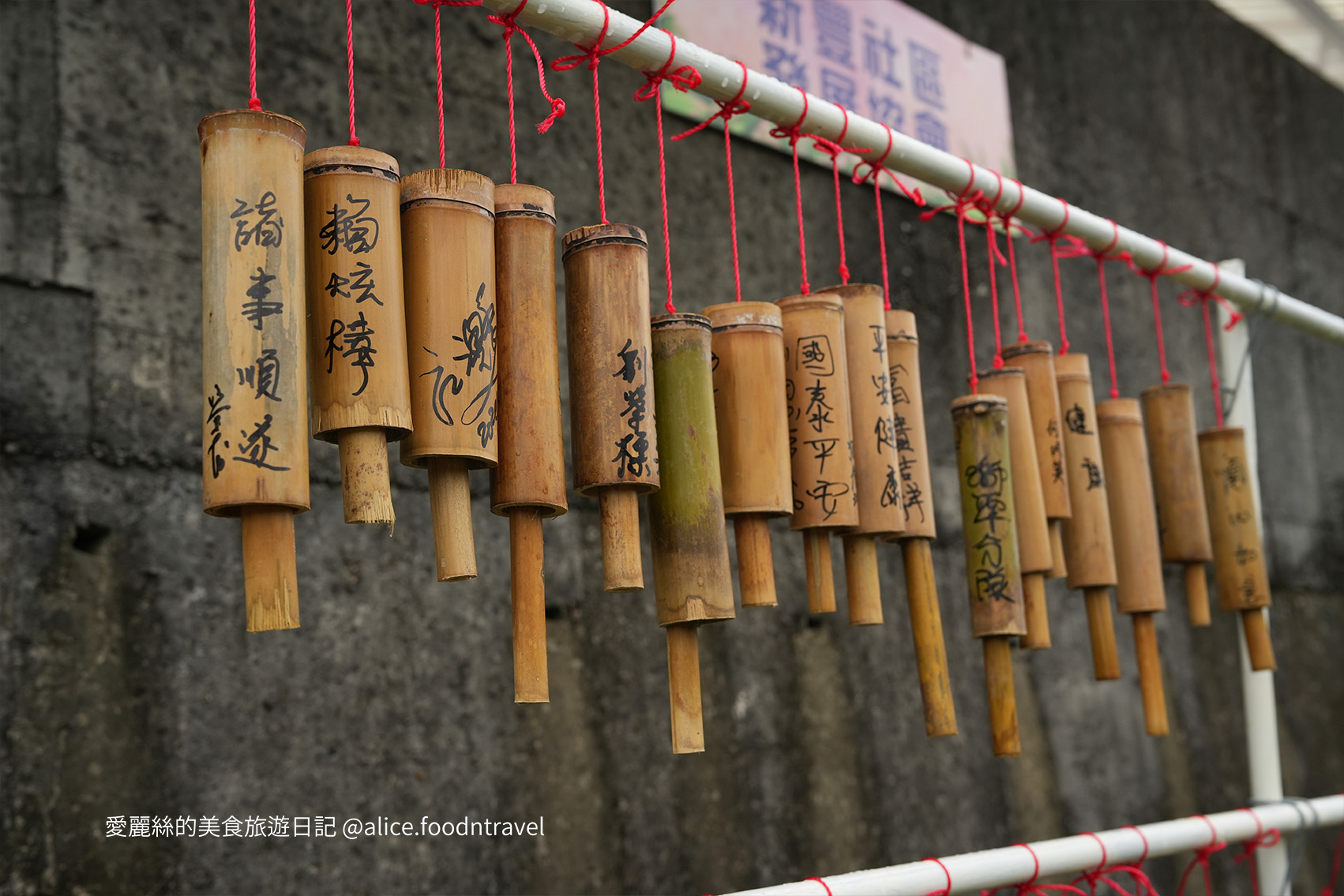 苗栗景點苗栗獅潭仙草花節2024苗栗獅潭仙草花苗栗獅潭仙草推薦苗栗必吃苗栗必玩苗栗親子旅遊親子景點苗栗三義苗栗勝興車站仙草花海桃園仙草花節