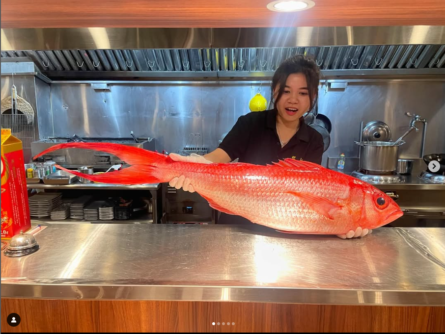 台中逢甲夜市美食逢甲美食逢甲商圈台中居酒屋推薦台中美食台中餐聽台中日式串燒台中炭火燒肉台中深夜美食台中西屯美食台中居酒屋魚煙居酒屋