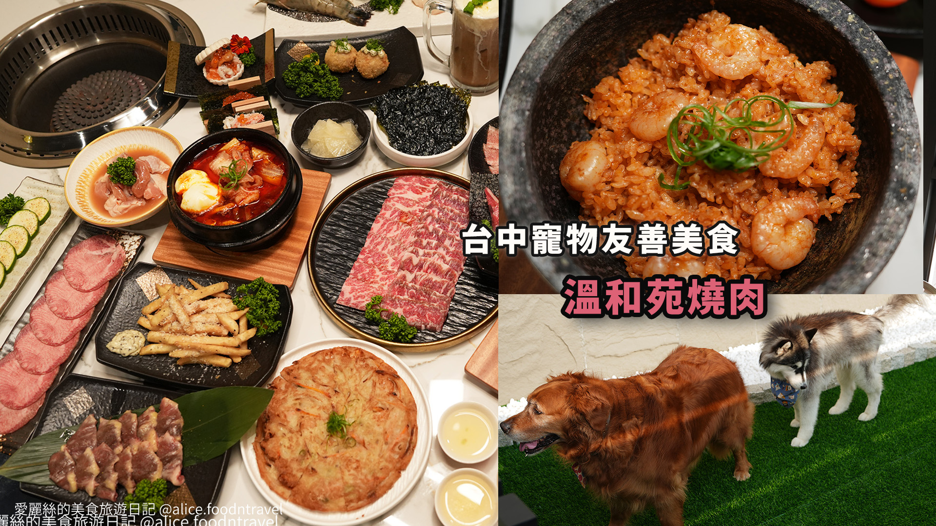 台中燒肉台中寵物友善燒肉台中寵物友善餐廳台中寵物餐廳台中狗餐廳台中燒肉推薦台中南屯美食台中南屯燒肉台中南屯餐廳南屯寵物餐廳容燒居酒屋温和苑溫和苑
